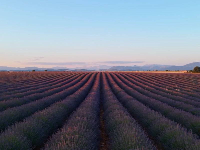 225° Gimbal Rotation for Dynamic Camera Movement