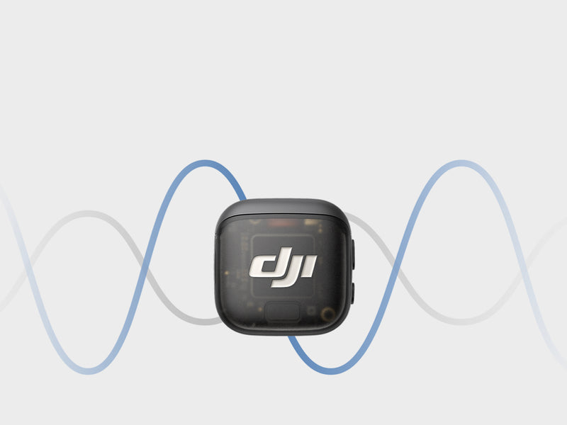 Dual Band Anti-Interference<sup>[6]</sup>, Lossless Audio Transmission